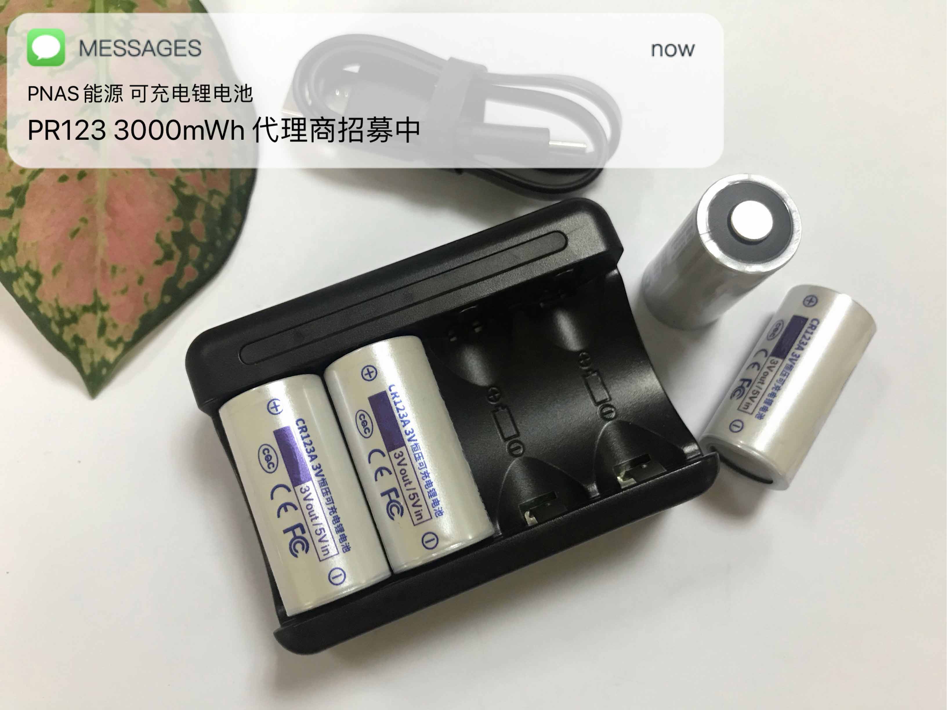 CR123A 3.0V恒壓可充鋰電池